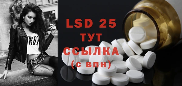PSILOCYBIN Михайлов