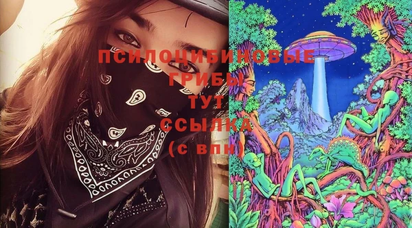 ешки Алексин