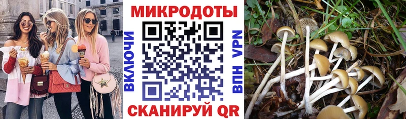 Галлюциногенные грибы GOLDEN TEACHER  даркнет сайт  Томмот 